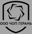 Профессиональная охрана